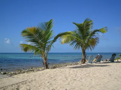 Tobaco beach — Placencia — 23 February 2007
