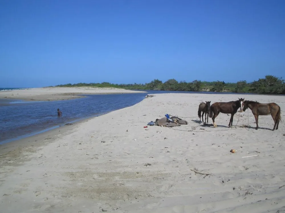 Beach — La Moskitia — 4 February 2007