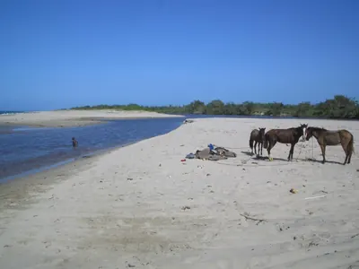 Beach — La Moskitia — 4 February 2007