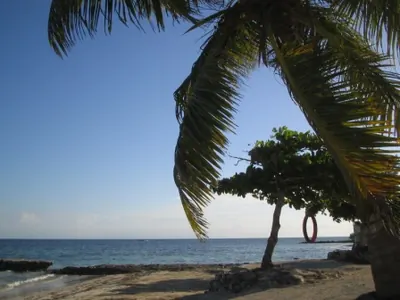 Beach — Utila — 24 January 2007