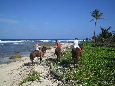 Beach — Utila — 13 January 2007
