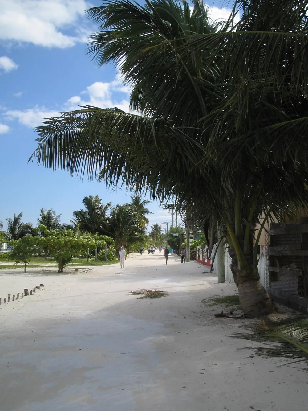 Belize - street — Caye Caulker — 19 February 2007