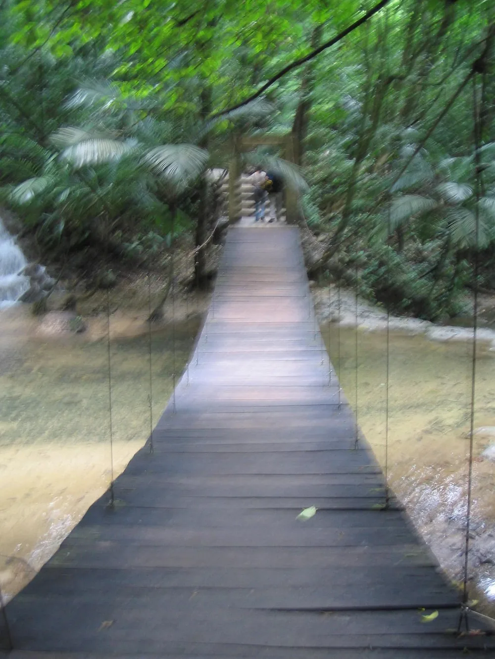 Bridge — Palenque — 6 March 2007
