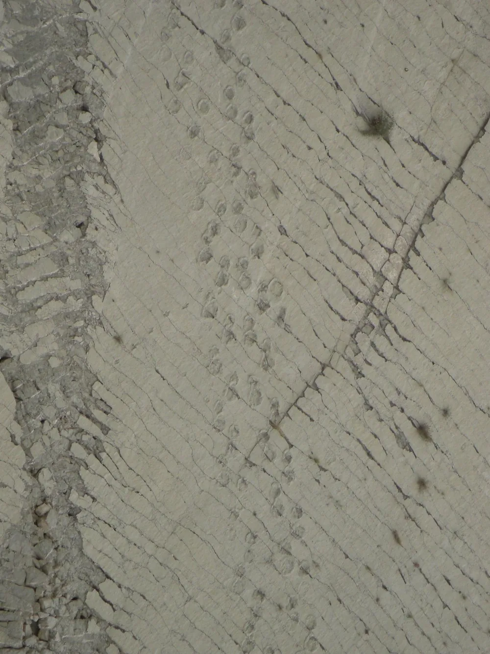 Sucre — 26 June 2007