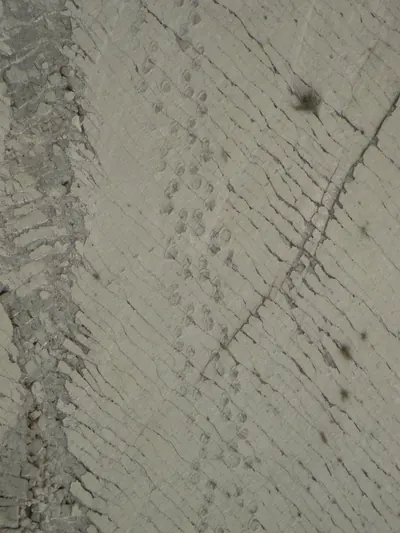 Sucre — 26 June 2007