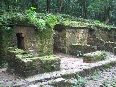 Group c buildings — Palenque — 6 March 2007