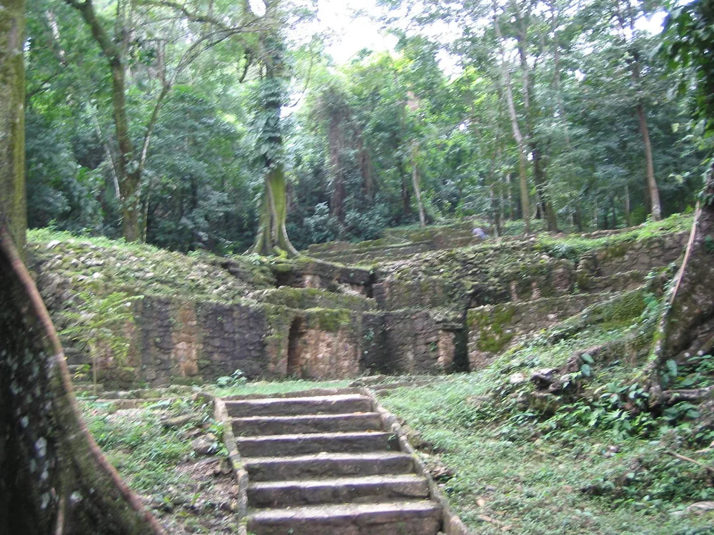 Grupo I and II — Palenque — 6 March 2007