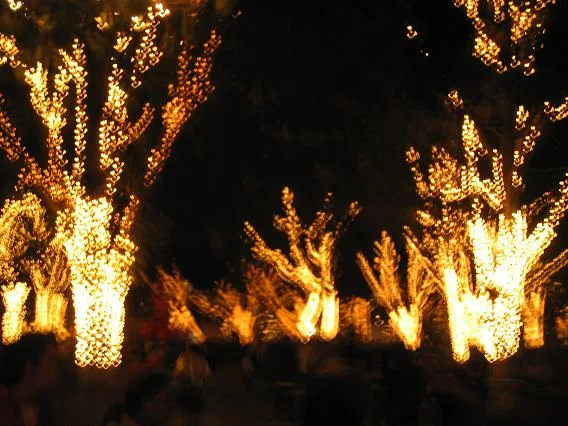 Lights — Chichicastenango — 4 December 2006