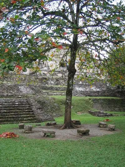 Mayan picnic area — Palenque — 6 March 2007