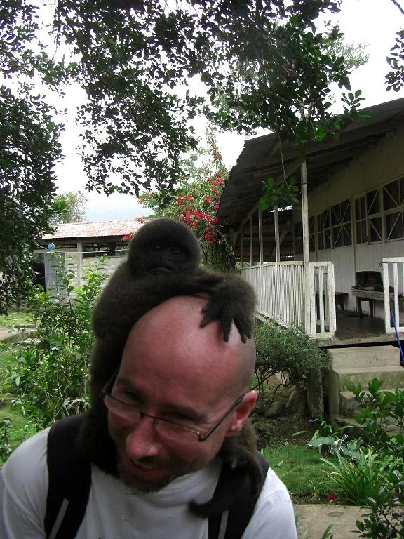 Monkey — Manú jungle — 31 May 2007