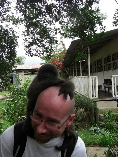 Monkey — Manú jungle — 31 May 2007
