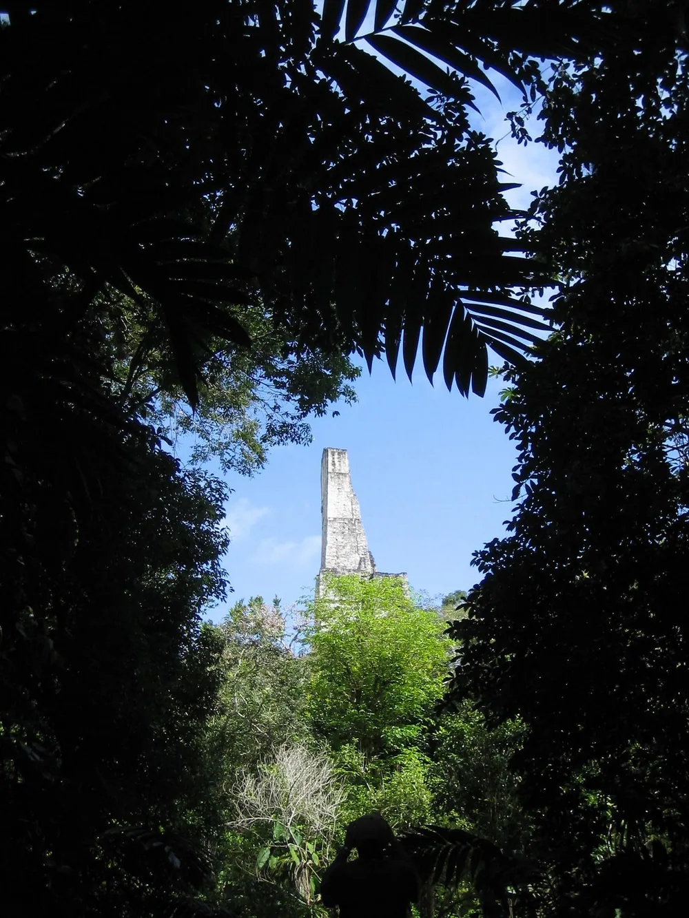 Nice frame — Tikal — 19 February 2007