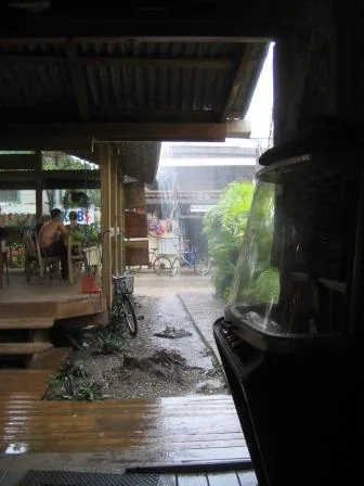 Raining — Utila — 29 January 2007