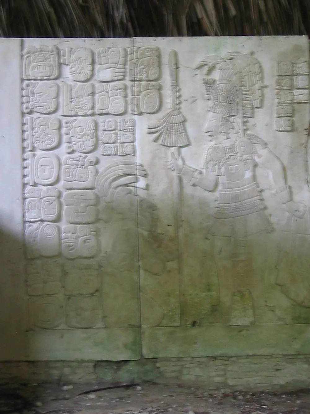 Relief — Palenque — 6 March 2007