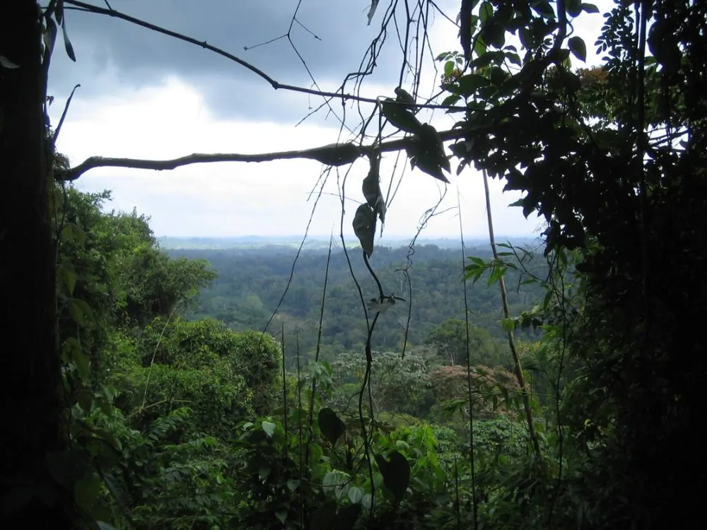 View — La Moskitia — 7 February 2007