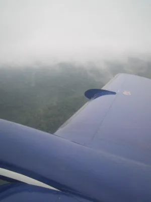 View from plane — Tikal — 10 December 2006