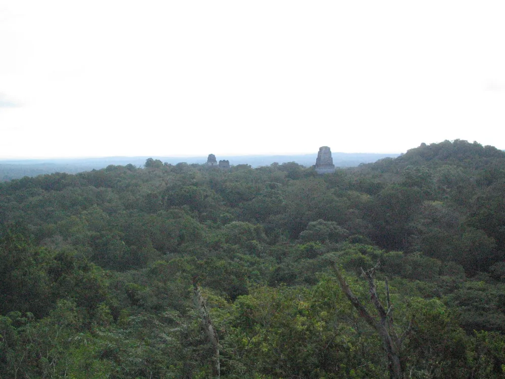 View from temple — Tikal — 19 February 2007