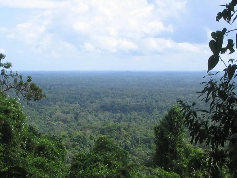 View1 — La Moskitia — 8 February 2007