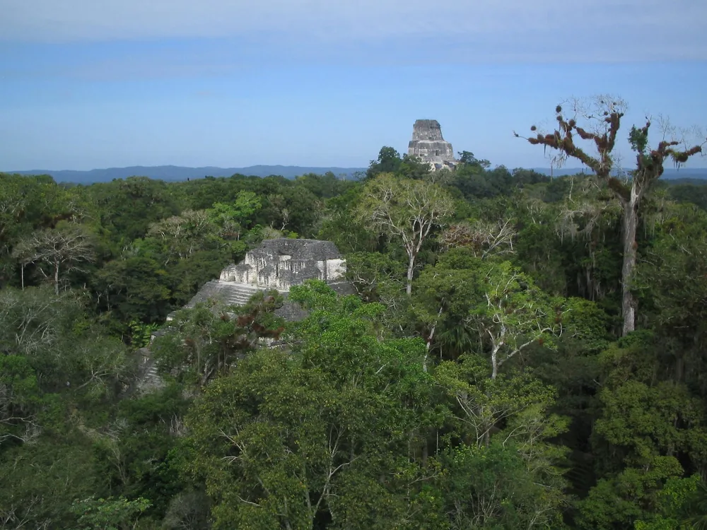 View1 — Tikal — 19 February 2007