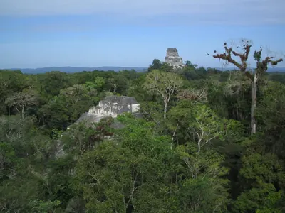 View1 — Tikal — 19 February 2007