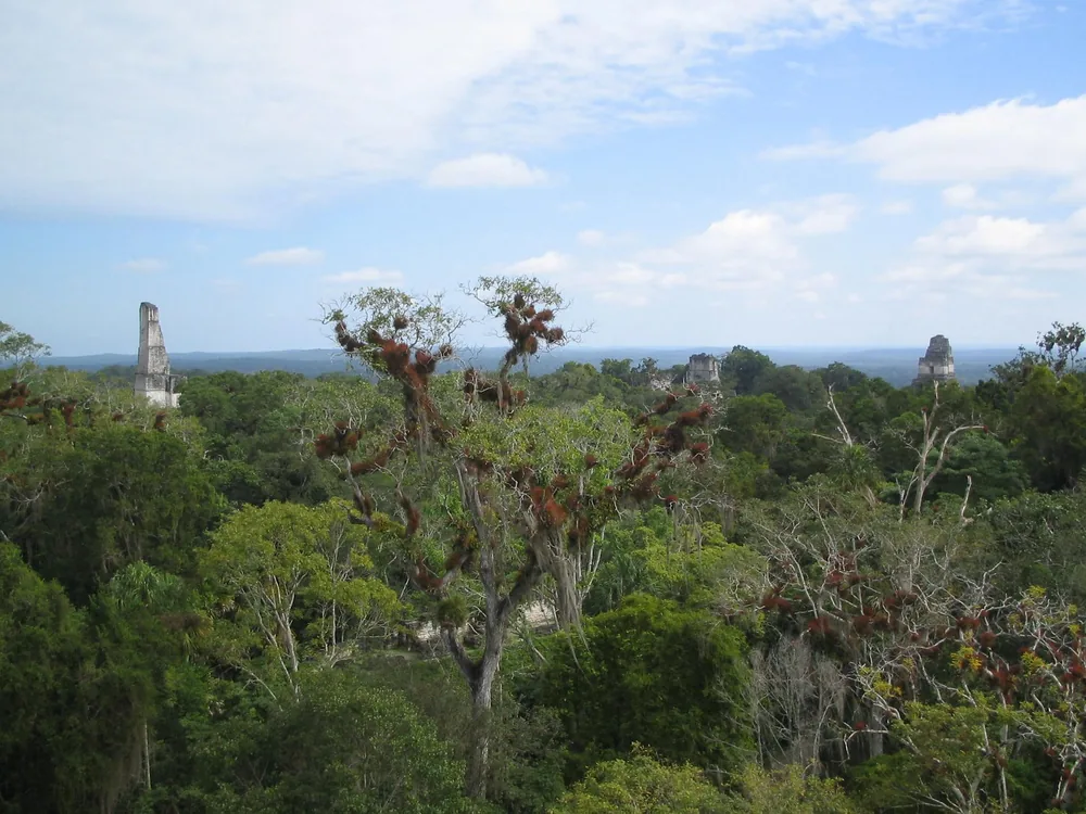 View2 — Tikal — 19 February 2007