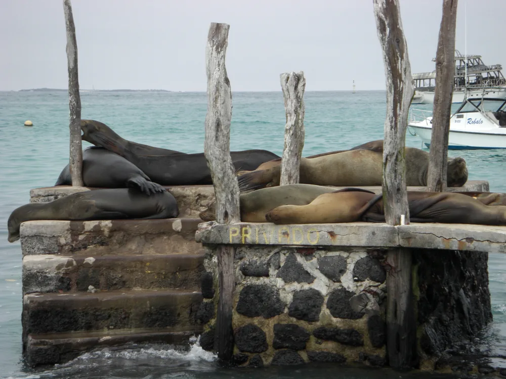 The Galápagos Islands — 2 May 2007