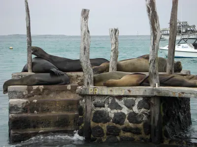 The Galápagos Islands — 2 May 2007