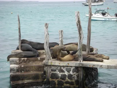 The Galápagos Islands — 2 May 2007