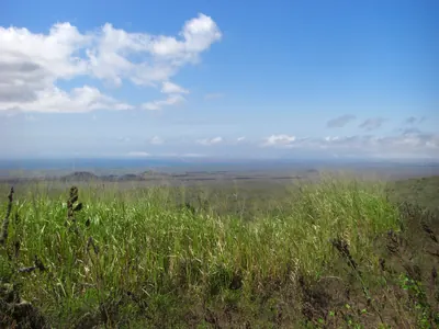 The Galápagos Islands — 3 May 2007