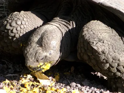 The Galápagos Islands — 3 May 2007