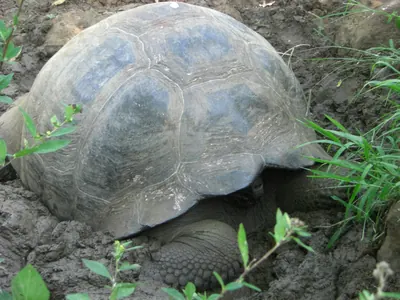 The Galápagos Islands — 3 May 2007