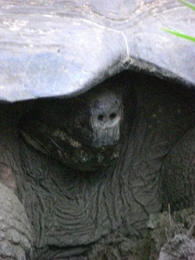 The Galápagos Islands — 3 May 2007