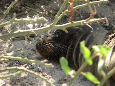 The Galápagos Islands — 4 May 2007