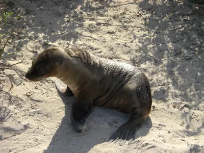 The Galápagos Islands — 4 May 2007
