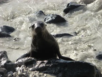 The Galápagos Islands — 4 May 2007