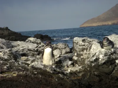 The Galápagos Islands — 5 May 2007