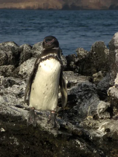 The Galápagos Islands — 5 May 2007