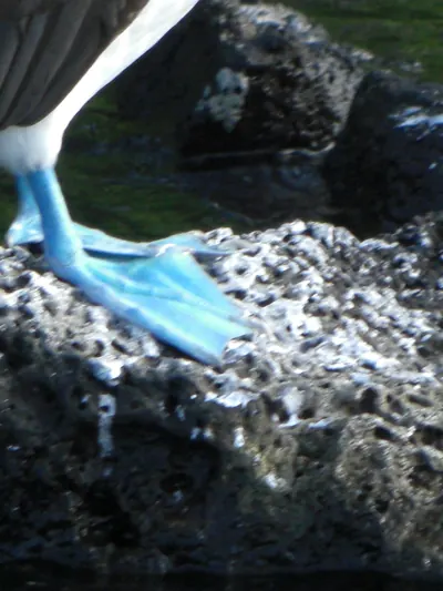 The Galápagos Islands — 5 May 2007