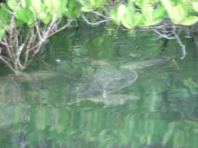 The Galápagos Islands — 5 May 2007