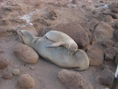 The Galápagos Islands — 6 May 2007
