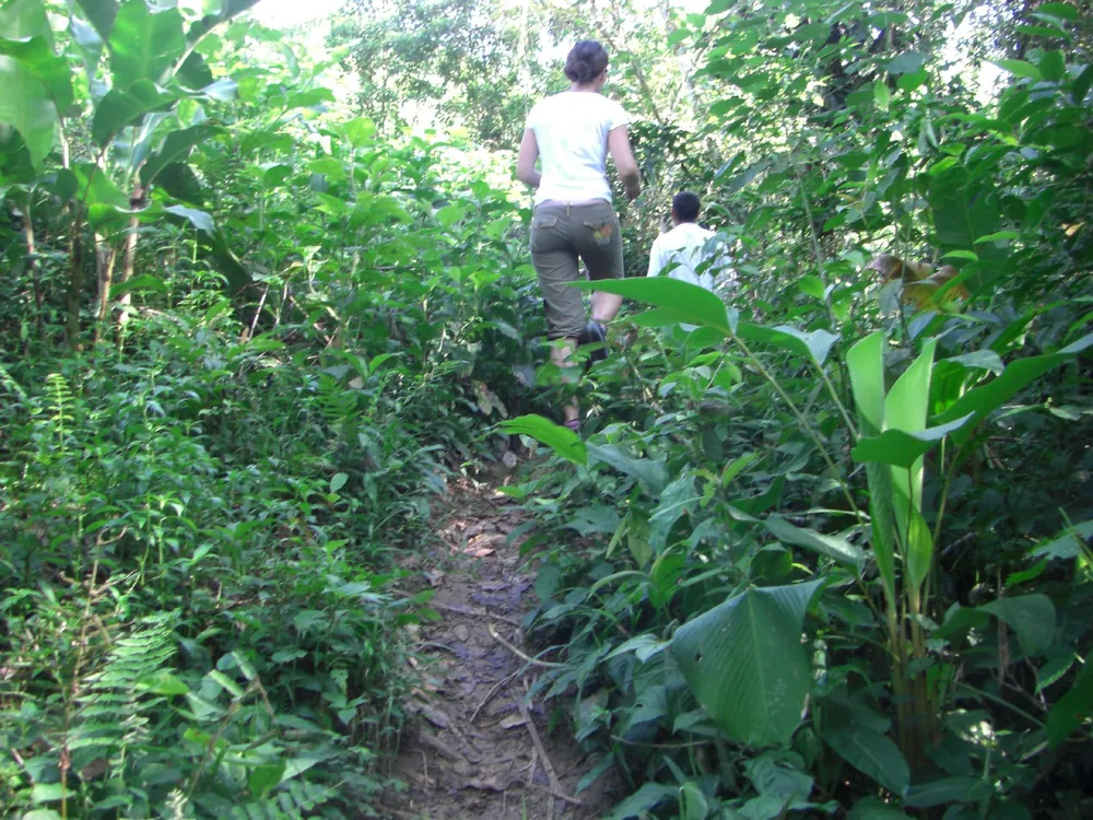 Ciudad Perdida — 31 July 2007