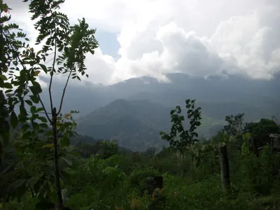Ciudad Perdida — 31 July 2007