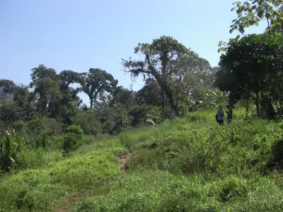 Ciudad Perdida — 1 August 2007