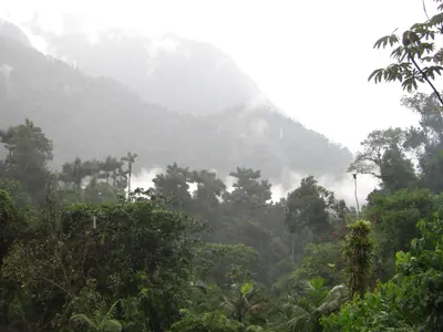 Ciudad Perdida — 1 August 2007