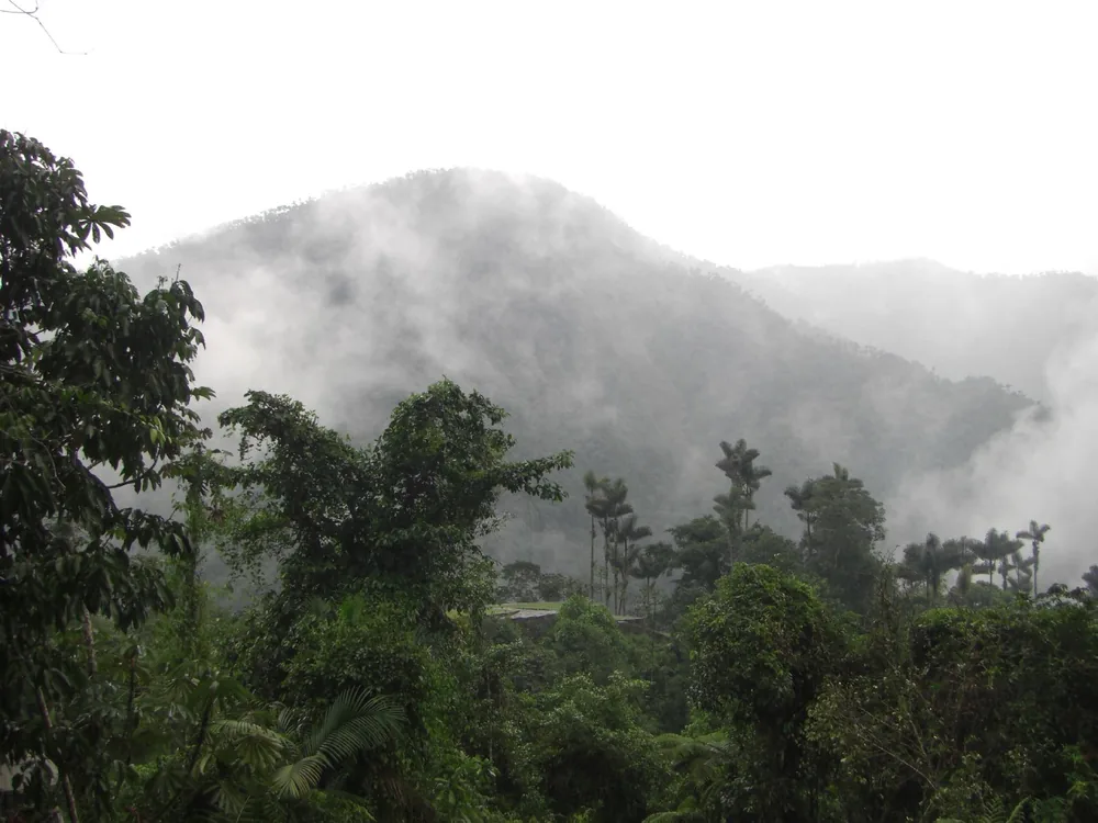 Ciudad Perdida — 1 August 2007