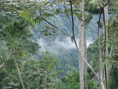 Ciudad Perdida — 2 August 2007