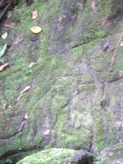 Ciudad Perdida — 2 August 2007