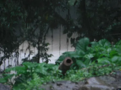 Ciudad Perdida — 2 August 2007