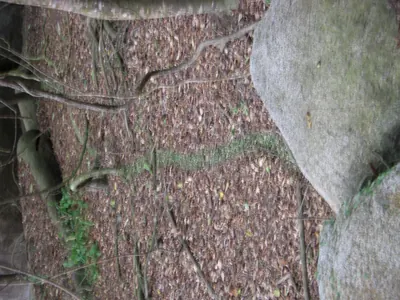 Tayrona National Park — 5 August 2007