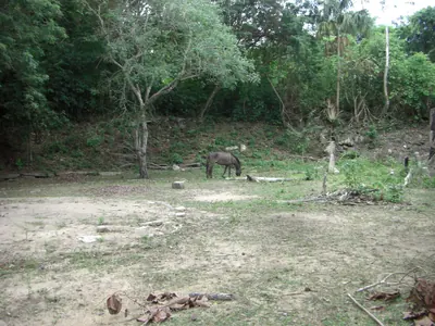 Tayrona National Park — 6 August 2007